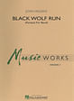 Black Wolf Run