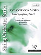 Andante con Moto (from Symphony No. 5)