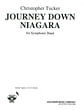 Journey down Niagara