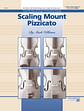 Scaling Mount Pizzicato