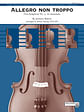 Allegro non troppo: From Symphony No. 2, 1st Movement