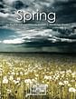Spring (Flexible Instrumentation)