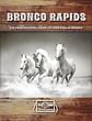Bronco Rapids